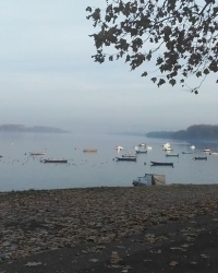 album-cover