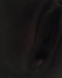 photo-thumb