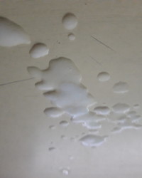 album-cover