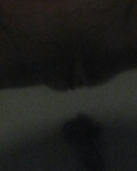 photo-thumb