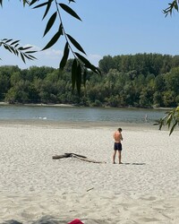 album-cover