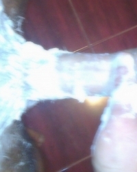 photo-thumb