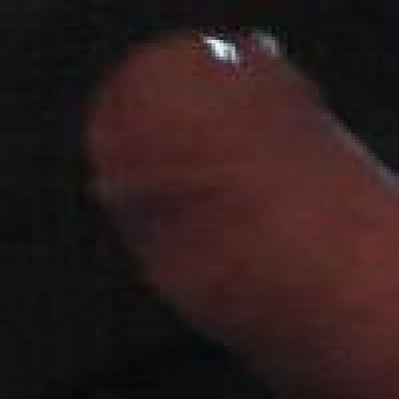 interseptor Avatar