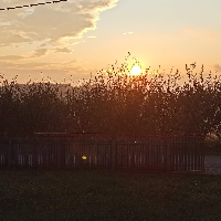 malagio Avatar