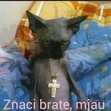 yony Avatar