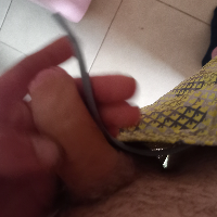 mikisd19 avatar