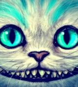 ns31 Avatar