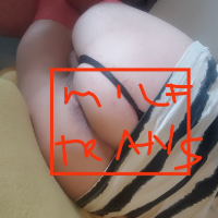 Milftransica avatar