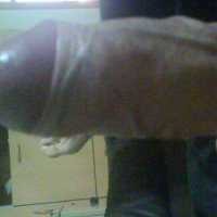 jebivetar2 Avatar