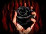 unforgiven Avatar