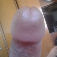 igorcic1703 Avatar