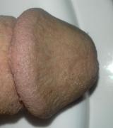 pizdolizac1982 Avatar