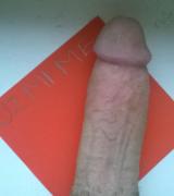 amar Avatar