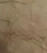 nebo81 Avatar
