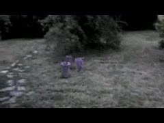 Kucna varijanta i seks u prirodi