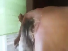 Thumb 8