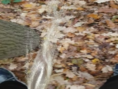 Pisanje u sumi. . .zlatni tus za drolje