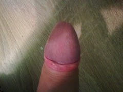 Seksi kurcina vrelo I hm 01