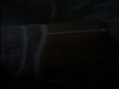 Jebem matorku Tamaro u hotelu