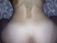 Guzata plavusa obozava